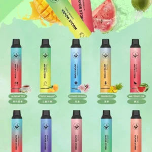 風暴抛棄式-VAPOR STORM-5000口一次性電子煙-台灣現貨